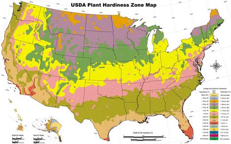 What is a Hardiness Zone? A USDA Hardiness Zone is a defined geographical area where a specific category of plant life is able to grow. The below USDA Planting Zones Map shows different planting zones around the United States of America. Each zone is divided into sections and each zone represents an area of PLANT … … Continue reading → Growing Zones Map, Gardening Zone Map, Planting Zones Map, Zone 5 Plants, Planting Chart, Micro Farming, Angel Garden, Plant Hardiness Zone Map, Backyard Farm