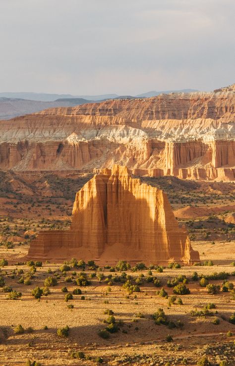 The Wonders of Capitol Reef National Park  Discover More: https://www.facebook.com/The-Most-Amazing-Places-on-Earth-697197843771667/ Capitol Reef National Park Photography, Worldly Aesthetic, Southwest Paintings, Capital Reef National Park, Utah Landscape, Arizona Aesthetic, Travel Utah, White Rocks, Visit Idaho