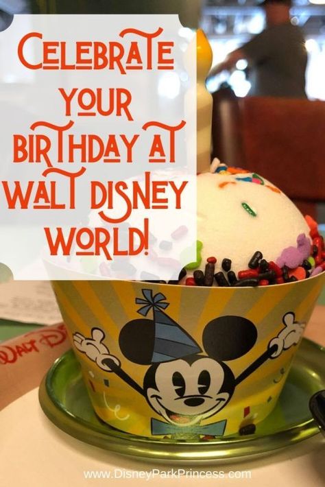 Disney Park Princess, Disney World Birthday, Disney World Secrets, Disney World Christmas, Disney World Vacation Planning, Disney Trip Planning, Disney Vacation Planning, Disney World Planning, Walt Disney World Vacations