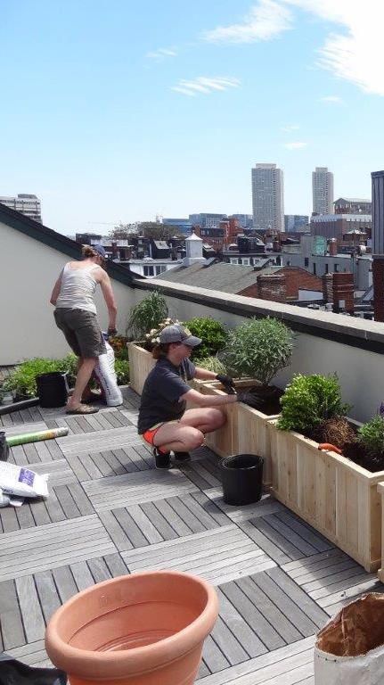 Balcon Mic, Ideas Terraza, Simple Balcony, Roof Terrace Design, Verbena Bonariensis, Rooftop Patio Design, Terrace Garden Ideas, Apartment Simple, Apartment Privacy