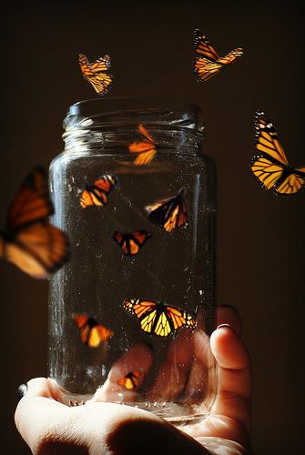 Butterflies Flying, Mason Jar Lamp, Butterfly Art, Pics Art, Beautiful Butterflies, Beautiful Pictures, Mason Jars, Fairy Tales, Street Art