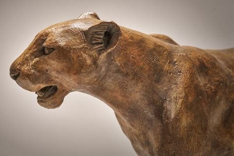 Bronze Leopard Sculpture - Nick Mackman Animal Sculpture Leopard Sculpture, Sculpture Animal, Bronze Sculpture Animal, Musk Ox, Guided Art, Sculptures For Sale, Animal Sculpture, Wildlife Artists, Owl Painting