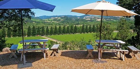 12 Best Sonoma Wineries With Beautiful Views | Food & Wine Napa Valley Itinerary, Sonoma Valley Wineries, Sonoma Vineyards, Best Margaritas, Coastal Fog, California Wineries, Wine Restaurant, San Francisco Vacation, Sonoma Wineries