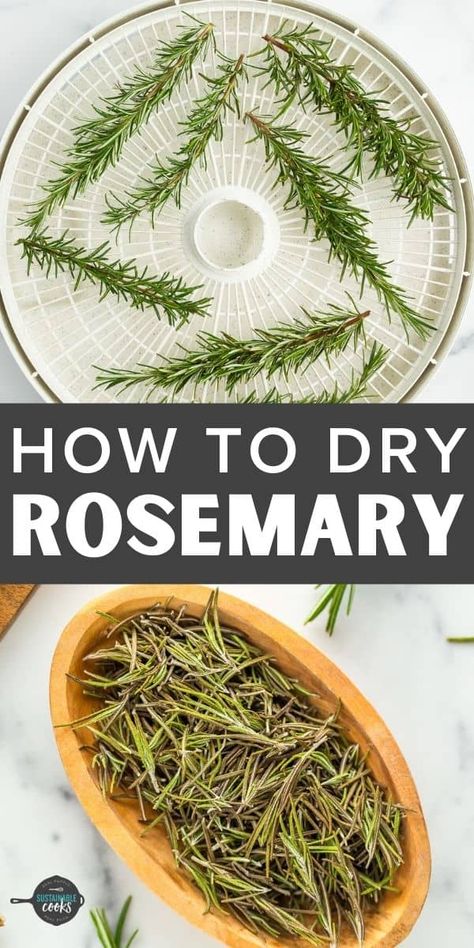 Dry Rosemary How To, Drying Rosemary In Oven, Dehydrate Rosemary, Drying Rosemary, Drying Herbs In Microwave, Microwave Drying Herbs, Drying Herbs In Dehydrator, How To Dehydrate Herbs In Dehydrator, Rosemary Christmas Tree