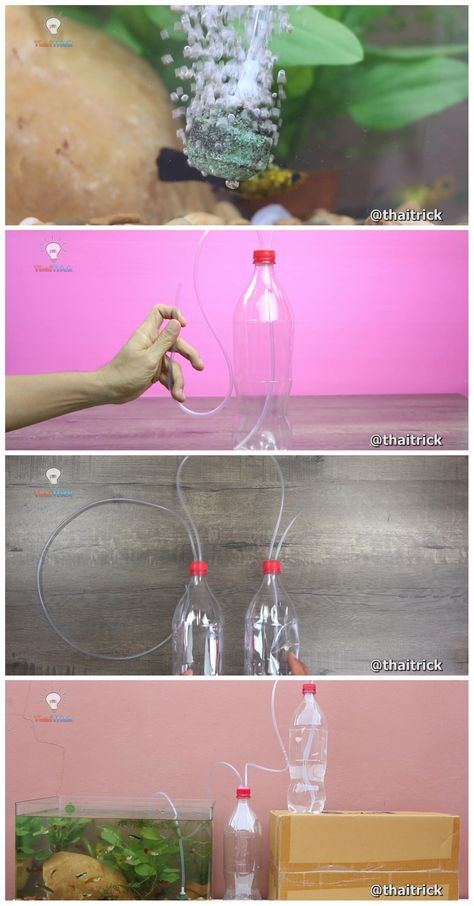 Aquarium Tips, Aquarium Diy, Aquaponics Greenhouse, Diy Fish Tank, Free Energy Projects, Copper Wire Art, Hydroponics Diy, Aquarium Air Pump, Diy Aquarium