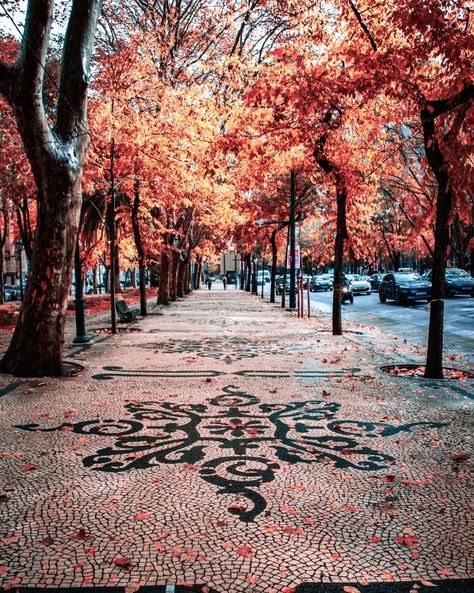 During my stay in Lisbon I made sure to pass through this street every day. The symmetrical ornaments on the cobblestone pavement tickled my brain in just the right way.  📷 Canon 6D Mark II Portugal, Lisboa Lisbon, Lisbon streets europe tourism, street photography, cityscape, cobblestone streets, travel photography, travel destinations, autumn vibes, solo travel, autumn landscape, Avenida Da Liberdade Cobblestone Pavement, Lisbon Streets, Canon 6d Mark Ii, Romantic Proposals, Travel Autumn, Canon 6d, Cobblestone Streets, Autumn Vibes, Autumn Landscape