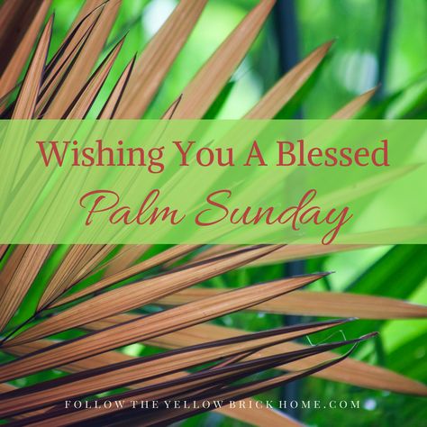 Follow The Yellow Brick Home - Wishing You A Blessed Palm Sunday – Follow The Yellow Brick Home Palm Sunday Pictures, Palm Sunday Wishes, Blessed Palm Sunday, Sunday Wishes Images, Good Morning Sunday Blessings, Palm Sunday Quotes, Easter Quotes Christian, Palm Sunday Activities, Happy Palm Sunday