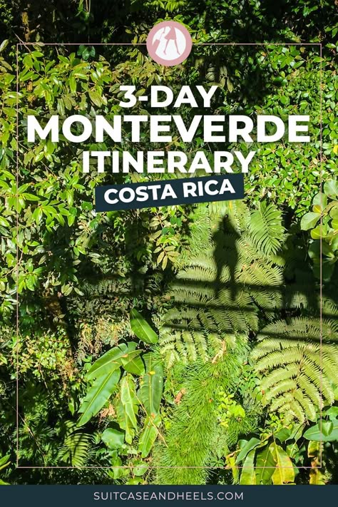 3-Day Monteverde Itinerary - Costa Rica Monte Verde Cloud Forest, Monteverde Costa Rica Cloud Forest, Monteverde Costa Rica Hotels, Costa Rica Monteverde, Monte Verde Costa Rica, Cloud Forest Costa Rica, Costa Rica Activities, Monteverde Cloud Forest, Monteverde Costa Rica