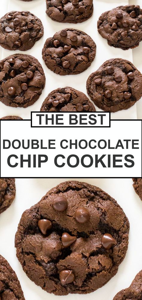 Soft & Chewy Double Chocolate Chip Cookies. Made with semi sweet chocolate chips and cocoa powder. These cookies take only 20 minutes to make start to finish! This easy chocolate chip cookie recipe is perfect anytime. This is the BEST double chocolate cookie recipe! #chocolatechipcookies #cookies Best Double Chocolate Chip Cookies, Best Choc Chip Cookies, Choc Chip Cookie Recipe, Double Chocolate Chip Cookie Recipe, Chewy Chocolate Cookies, Double Chocolate Chip Cookies, Choc Chip Cookies, Chocolate Cookie Recipes, Chocolate Chip Recipes