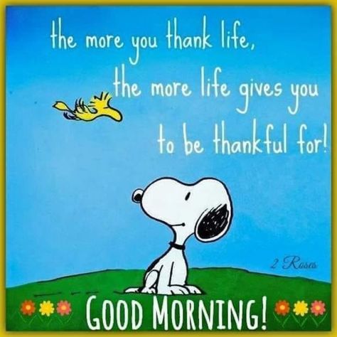 10 Best Good Morning Snoopy Images And Quotes Happy Monday Gif, Peanuts Snoopy Quotes, Emoticon Love, Prayer Pictures, Good Morning Snoopy, Good Morning Happy Monday, Sympathy Quotes, Good Morning Quote, Friends Illustration