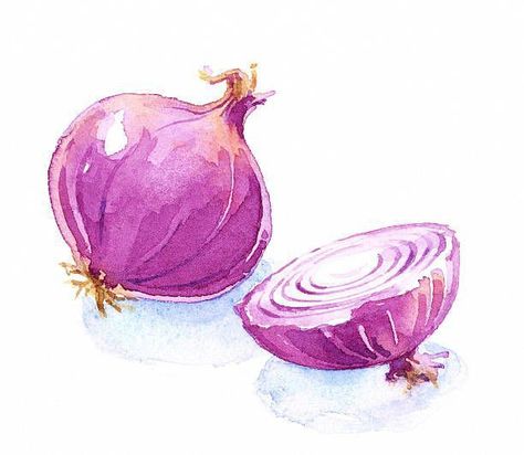 Onion Drawing, Vegetable Drawing, Watercolor Food Illustration, Vegetable Painting, Vegetable Illustration, Watercolor Food, Kids Watercolor, Watercolor Fruit, Food Painting