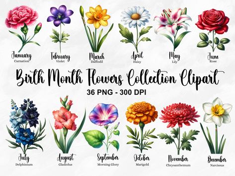 Flower Bouquet Png, Flower Bundle, Birth Flower Tattoos, Drawing Clipart, Flowers Clipart, Birth Month Flower, Create Invitations, Month Flowers, Elegant Tattoos