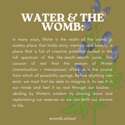 Did you know that we can map the Menstrual Cycle and our Life Cycles along the 5 Elements/Phases? Wood🌱, Fire❤️‍🔥, Earth🌍, Metal🔮 & Water🌊 This is one of many ways to feel into how intimately connected you are to the world around you. This same cosmological sequence catalogues all the stages of growth and waning inherent in all life & creative processes. ⁠ Swipe through the following slides to learn about the relationship of each element and the womb. And, if you are a healing practitione... Womb Healing Ceremony, Womb Ritual, Womb Healing For Women, Water Healing, How To Start Meditating, Stages Of Growth, The 5 Elements, Wood Element, The Menstrual Cycle