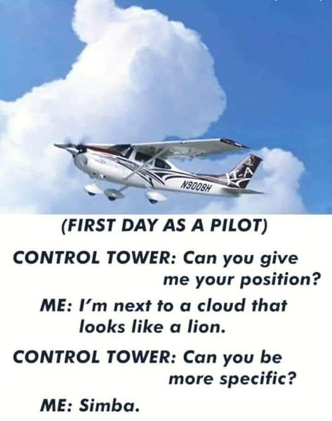 Aviation Humor Pilots, Plane Memes, Airline Humor, Pilot Humor, Pilot Life, Aviation Humor, Airline Pilot, Like A Lion, Can You Be