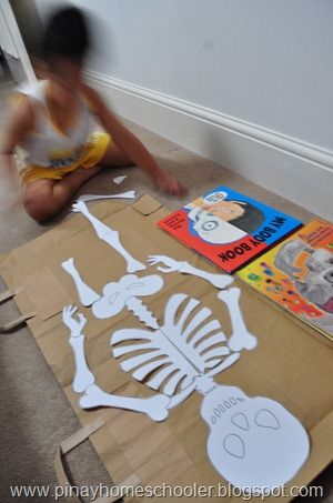 free printable skeleton Skeleton Science Project, How To Make Skeleton Bones, Life Size Skeleton Printable Free, Free Printable Skeleton Bones, Bone Activities, Skeleton Activities, Skeleton Printable, Medical Play, Anatomy Skeleton