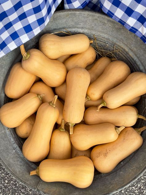 Bucket of Butternut Squash at the Farmers Market Cook Butternut Squash, Mashed Butternut Squash, Baked Butternut Squash, Tenderloin Roast, Sauteed Green Beans, Baked Squash, Garlic Green Beans, Roasted Butternut Squash Soup, Butternut Squash Recipes