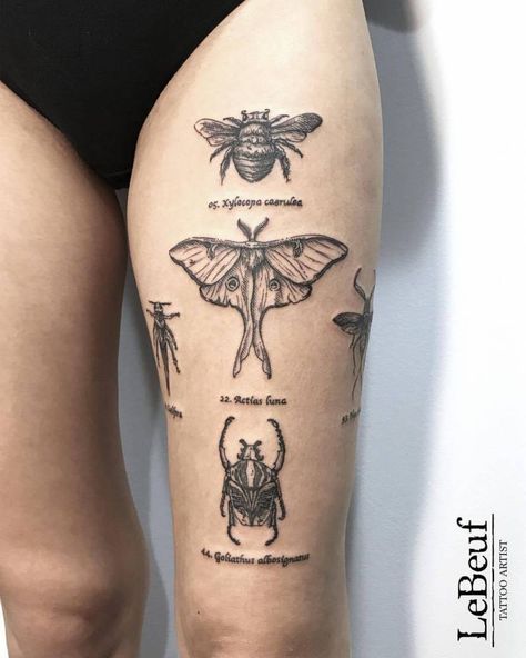 Tattoos Traditional, Mandala Tattoos, Tattoos Mandala, Insect Tattoo, Bug Tattoo, Patchwork Sleeve, Geometric Tattoos, Tattoos Geometric, Moth Tattoo