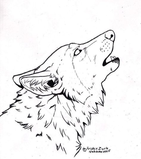 Wolf Howling Drawing, Wolf Line Art, Wolf Art Drawing, Wolf Head Drawing, Wolf Face Drawing, Wolf Outline, Drawing Wolf, Line Drawing Images, Tattoo Wolf