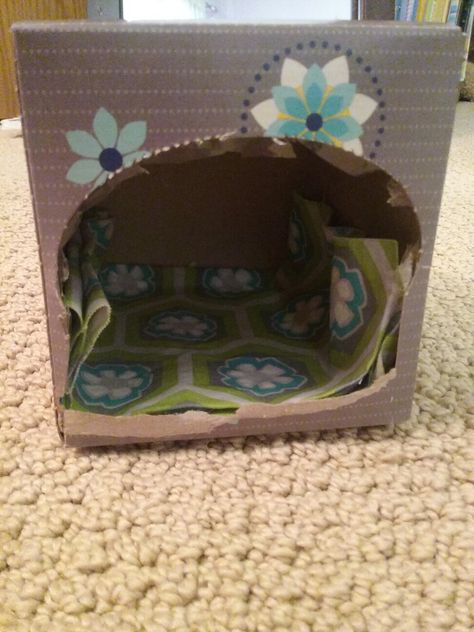 Guinea Pig Diy Toys, Guinea Pig Hideout Diy, Diy Guinea Pig Hideout, Diy Guinea Pig Toys, Diy Guinea Pig Cage, Pig Ideas, Guinea Pig Diy, Pig Toys, Guinea Pig (toy)