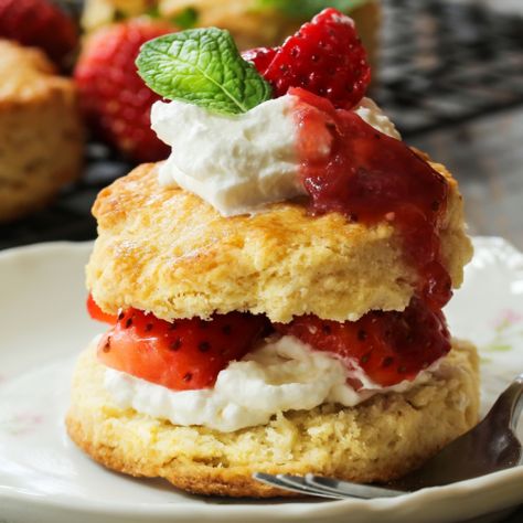 Old Fashioned Strawberry Shortcake | Cooking Mamas Old Fashioned Strawberry Shortcake, Bisquick Shortcake Recipe, Strawberry Shortcake Recipes, Shortcake Recipe, Strawberry Dessert, One Skillet Meals, Homemade Whipped Cream, Strawberry Desserts, Baking Mix