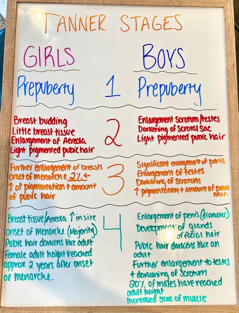 Tanner Stages Of Development, Pediatrics Nursing, Pediatric Nurse Practitioner, Summer Learning, School Nurse, Nursing Education, Pediatric Nursing, Nurse Practitioner, Child Development