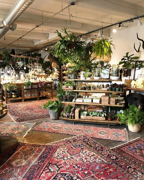 Plant Shop Names, Plant Shops, Flower Shop Interiors, Flower Shop Decor, Flower Shop Design, Herb Shop, Monkey Wrench, Plant Shop, Shop Decor