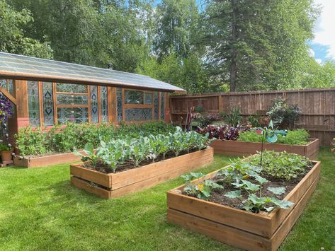 Stained-Glass Greenhouse in Alaska - FineGardening Windows Greenhouse, Window Greenhouse, Glass Greenhouse, Best Greenhouse, Garden Plots, Fall Bulbs, Antique Stain, Greenhouse Plans, Vegetable Gardens