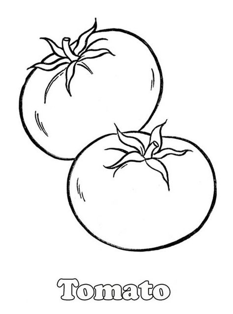 A Pair Of Red Tomatos Coloring Page : Kids Play Color Tomato Drawing, Fruits And Vegetables Pictures, Vegetable Coloring Pages, Tomato Color, Vegetable Pictures, Food Coloring Pages, Fruit Coloring Pages, Color Worksheets, Best Fruits