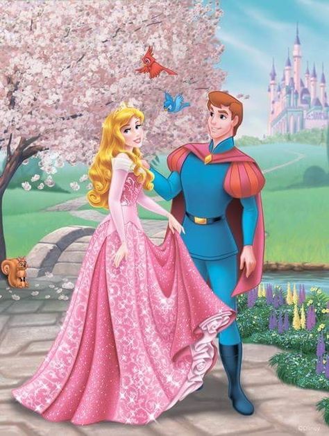 Princes Aurora, Sleeping Beauty Cartoon, Fantasy Nightgown, Cinderella Cartoon, Disney Romance, Walt Disney Princesses, Disney Princess Cartoons, Rio 2, Disney Princess Aurora