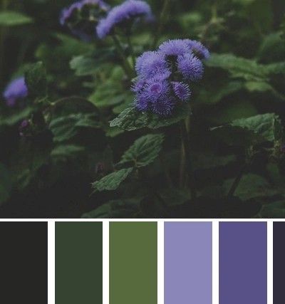 Forest Witch Color Palette, Purple And Green Interior Design, Purple Green Blue Color Palette, Lavendar Color Palette, Lilac And Dark Green, Enchanted Forest Color Palette, Purple Green Color Palette, Green Purple Aesthetic, Garden Color Scheme