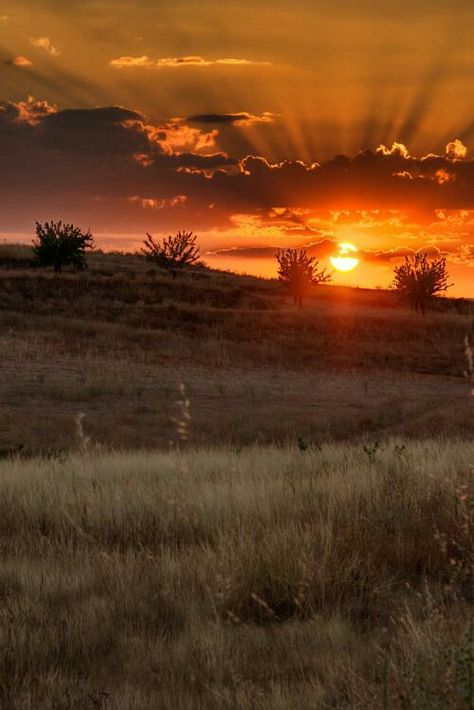 Scenic Pictures, Scenic Photos, Ocean Sky, Olive Trees, Country Scenes, Sun Sets, Gorgeous Sunset, Beautiful Places Nature, Beautiful Sunrise