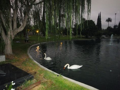 Hollywood Cemetery, Coquette Girlblogger, Hollywood Forever Cemetery, Love Abundance, Glam Aesthetic, Swan Lake, Road Trip Usa, Graveyard, The Mood