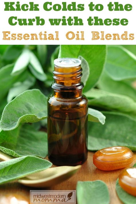 4 Essential Oil Blends to Use at the First Sign of a Cold this cold & flu season! Natural Remedies For Colds, Coldsore Remedies Quick, Essential Oils For Colds, Essential Oil Remedy, Cold Sores Remedies, Natural Cold Remedies, Cold Home Remedies, Natural Cough Remedies, Cough Remedies