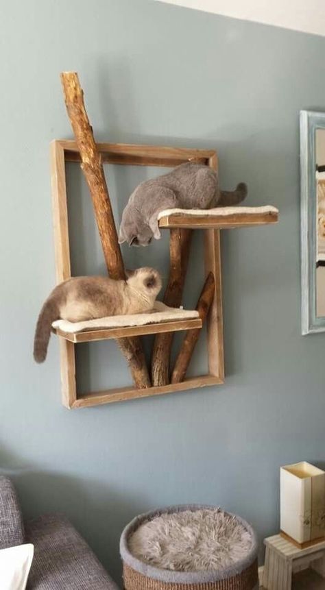 Cat Bed Wall, Cat Bed On Wall, Diy Wall Cat Bed, Diy Cat Bed Wood, Diy Cheap Cat Tree, Rustic Cat Tree, Diy Floor To Ceiling Cat Post, Rent Friendly Cat Shelves, Cat Wall Climbing