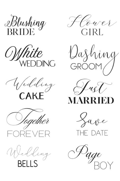 Wedding Fonts Combinations, Best Calligraphy Fonts, Christmas Fonts Alphabet, Tattoo Name Fonts, Sarah Titus, Font Combination, Tattoo Script Fonts, Christmas Fonts Free, Tattoo Fonts Cursive