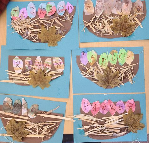 Birds Nest Activity For Preschool, Nest Art Preschool, Nest Activity Preschool, Birds And Nests Preschool, Birds Reggio Emilia, Making Bird Nests Preschool, Bird Sensory Bin Preschool, Spring Bird Crafts Preschool, The Best Nest Preschool Activities