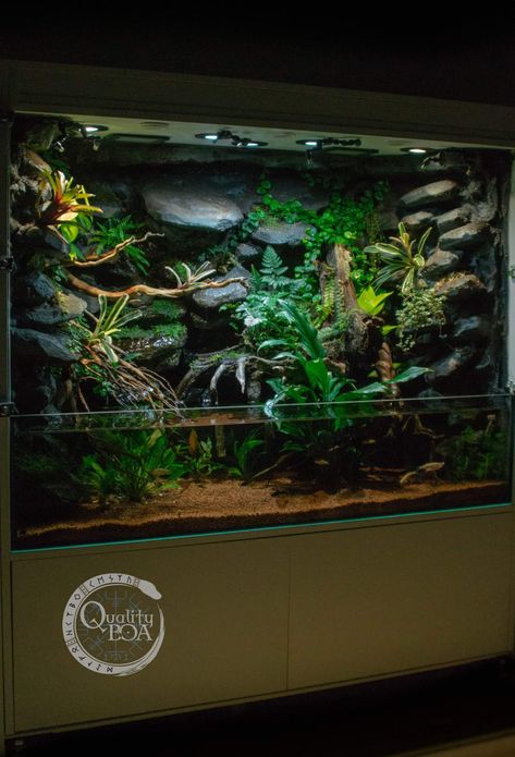 Rainforest Vivarium, Terrarium Cabinet, Rainforest Terrarium, Forest Terrarium, Bioactive Vivarium, Wall Terrarium, Terrarium Tank, Aquarium Architecture, Aquarium Garden