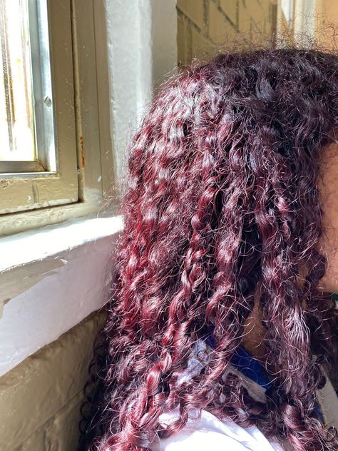 Red Violet Curly Hair, Cherry Chocolate Hair Curly, Dark Red Curly Hair Burgundy, Deep Red Curly Hair, Cherry Red Hair Curly, Black Cherry Red Hair, Dark Red Curly Hair, Burgundy Curly Hair, Hair Peekaboo