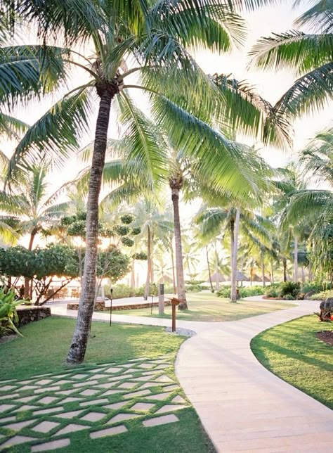 Family Backyard Layout, Front Garden Design Ideas, House Front Garden, Pergola Backyard, Four Seasons Bora Bora, Hotel Landscape, Backyard Layout, Family Backyard, Tropical Backyard