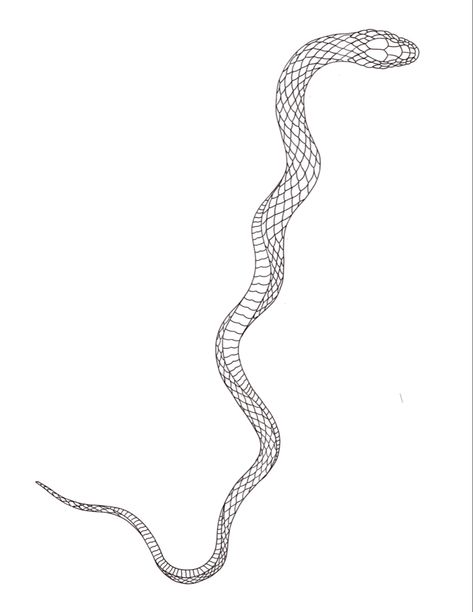 Snake, line work snake, tattoo design, wrapping tattoo, twirling snake design Snake Wrapped Around Arm Tattoo Stencil, Straight Snake Tattoo, Snake Wrapping Around Arm Tattoo, Wrapped Snake Tattoo, Wrap Around Snake Tattoo Stencil, Snake Scale Tattoo, Wrapping Snake Tattoo, Long Snake Tattoo, Snake Around Leg Tattoo