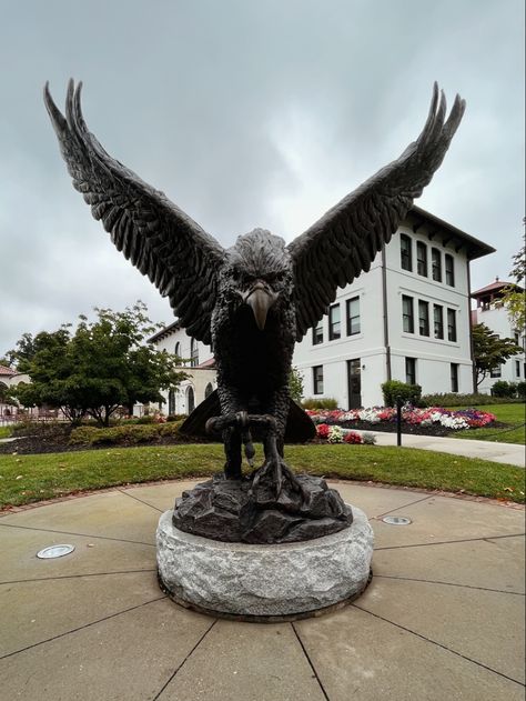 red hawk, msu, montclair, montclair state university, new jersey, go red hawks, montclair aesthetic, montclair state university aesthetic, montclair state, aesthetic Montclair State University Aesthetic, Montclair New Jersey, Montclair State University, University Aesthetic, 2024 Goals, Go Red, Life Board, School Tops, 2025 Vision