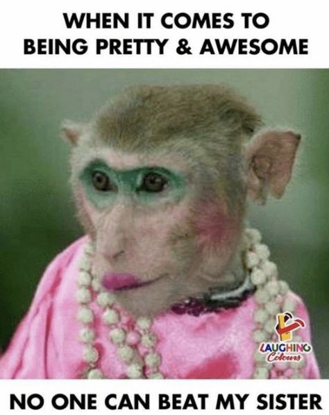 When it comes to being pretty and awesome - no one can beat my sister meme Monkey With Makeup, Happy Birthday Mom Meme, Funny Sister Memes, Sister Meme, Happy Birthday Sister Funny, Happy Birthday Little Sister, Brother Sister Quotes Funny, Family Day Quotes, Sister Things