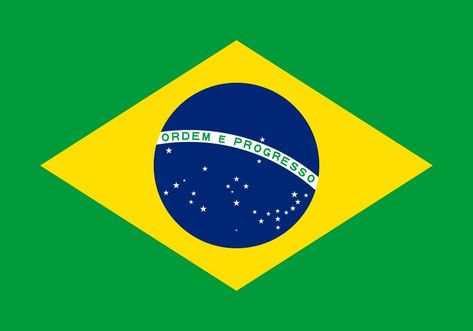 Learn Brazilian Portuguese, Brazil Country, World Flags, Brazilian Flag, Brazilian Portuguese, Brazil Flag, Flag Country, Flag Icon, Web Traffic