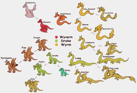 Types Of Mythical Creatures, Dragon Types, Types Of Dragons, Dragon Princess, Dragon Sketch, Creature Drawings, Whiplash, Fantasy Creatures Art, Dragon Artwork