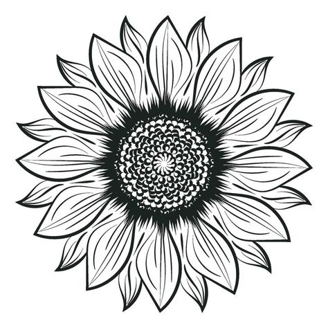 Sunflower Line Art, Sunflower Outline, Floral Line Drawing, Line Art Floral, Drawing Black And White, White Sunflowers, Drawing Black, Tree Saw, Coloring Ideas