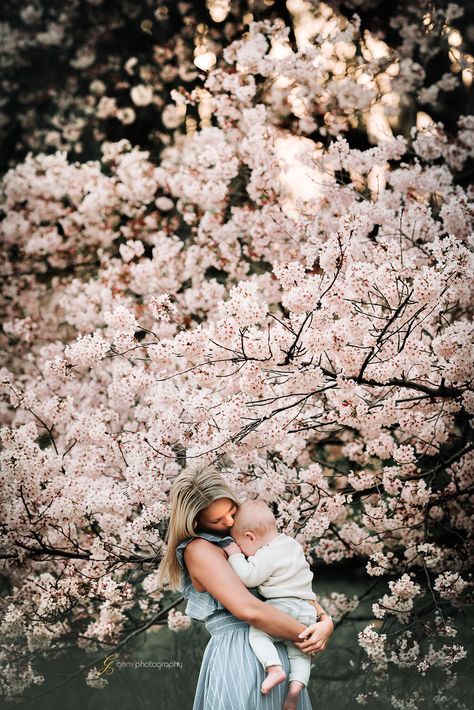 Apple Blossom Family Pictures, Cherry Blossom Photoshoot Family, Almond Blossom Photography Family, Cherry Blossom Maternity Shoot, Cherry Blossom Family Photos, Cherry Blossom Photoshoot Outfit, Blossom Family Pictures, Zayn Pictures, Blossom Photoshoot