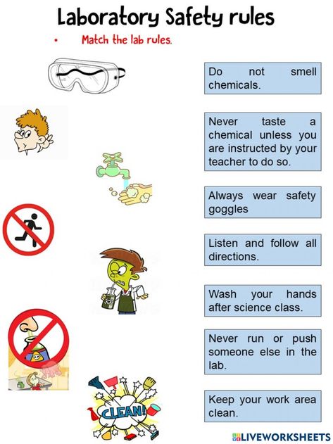 Science Lab Safety Worksheet, Lab Safety Worksheet, Chemistry Lab Safety Poster, Safety Rules Worksheet, Laboratory Safety Rules, Science Lab Rules, Science Lab Safety Rules, Science Safety Rules, Lab Safety Poster