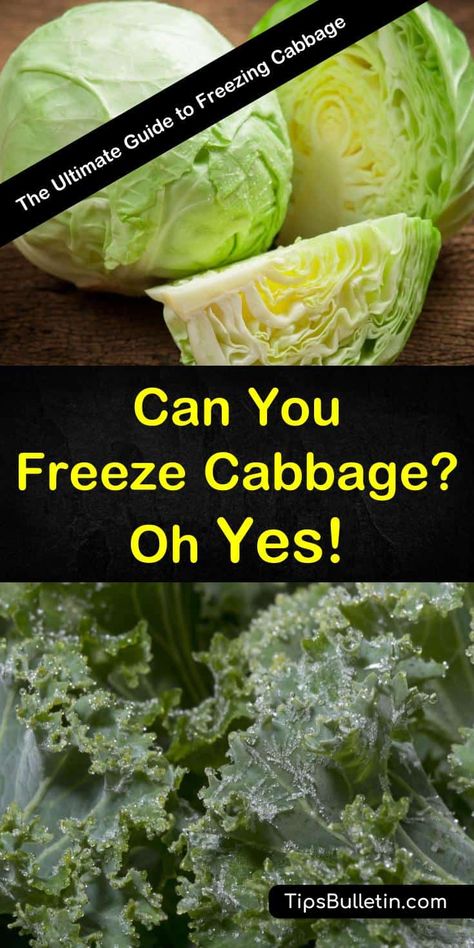 How To Can Cabbage In Jars, Vegetable Preserving, Can You Freeze Cabbage, Freezing Cabbage, Freeze Veggies, Freezing Food Guide, Freezing Veggies, Canning Granny, Freeze Food