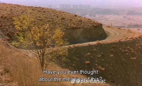 Taste Of Cherry, Abbas Kiarostami, Cinema Quotes, Movies Quotes Scene, Movie Lines, Film Quotes, Aesthetic Quotes, Film Stills, Music Wallpapers