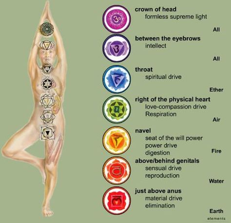 The next 2 lessons will cover the 3 important elements affected by Reiki healing: Chakras, The Aura and The Meridians.  So what are Chakras? This is truly the subject of an entire course all its ow… Chakra Chart, The Seven Chakras, Energy Yoga, The Chakras, Chakra System, 5 Elements, Seven Chakras, Les Chakras, Kundalini Yoga